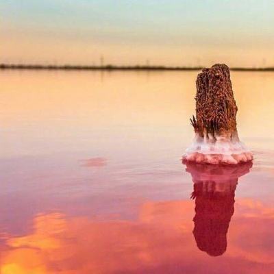 168极速赛车全天计划单期